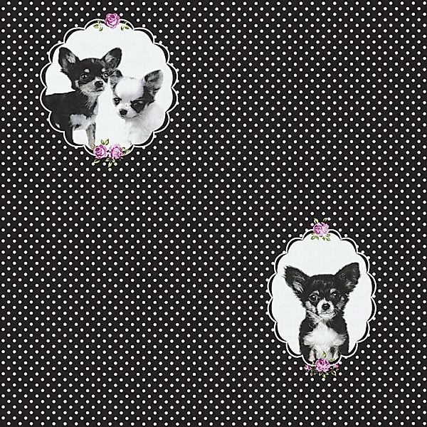 Bricoflor Chihuahua Tapete mit Punkten Tier Vliestapete in Schwarz Weiß Ide günstig online kaufen