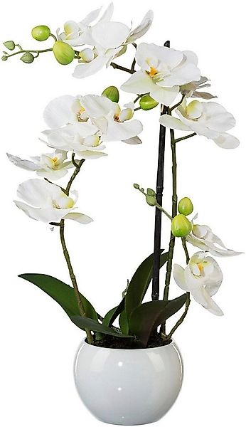 Kunstpflanze Phalaenopsis Orchidee, Creativ green, Höhe 42 cm günstig online kaufen