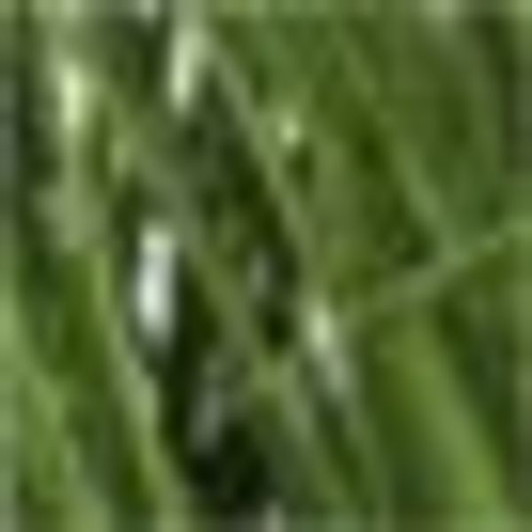 Kunstgras Gras, Creativ green, Höhe 75 günstig online kaufen