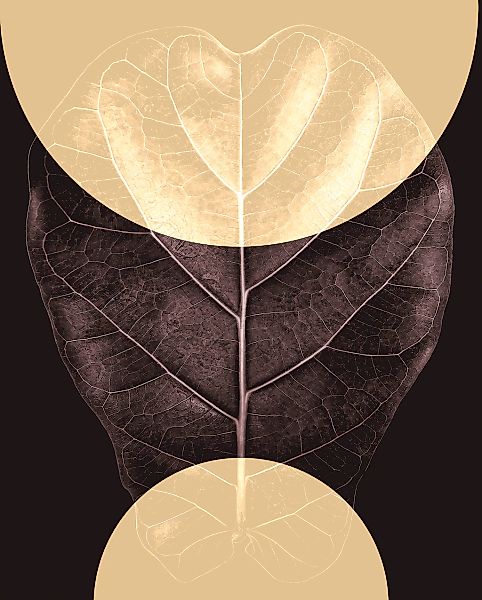 Komar Bild "Shadow Theatre" Natur 1 Stk. tlg. Wandbild zur Dekoration - ohn günstig online kaufen