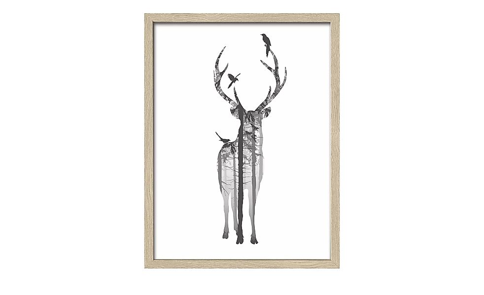 Gerahmtes Bild Slim-Scandic  Deer With Birds - 33 cm - 43 cm - Sconto günstig online kaufen