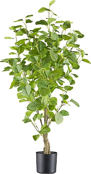 Kunstbaum Eukalyptus Grünpflanze, Creativ green, Höhe günstig online kaufen