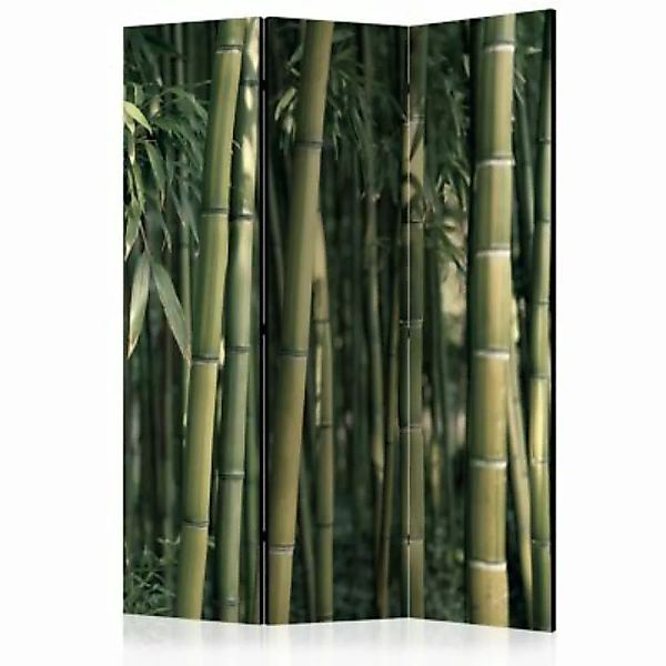 artgeist Paravent Bamboo Exotic [Room Dividers] gelb-kombi Gr. 135 x 172 günstig online kaufen