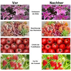 Jibenhome Pflanzenlampe Wachstumslampe,Vollspektr UV+IR/Sonnenlicht Grow La günstig online kaufen