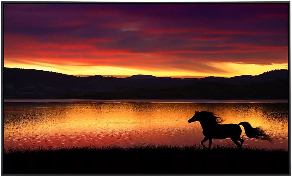 Papermoon Infrarotheizung »Pferd in landschaft«, sehr angenehme Strahlungsw günstig online kaufen