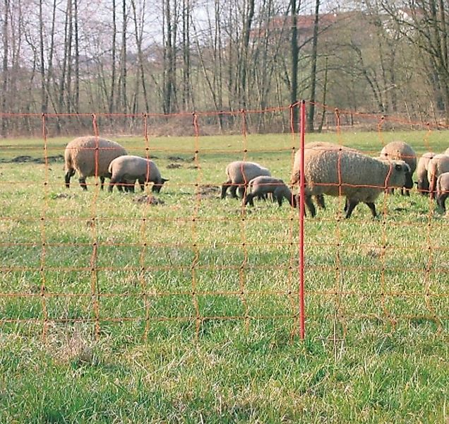 Kerbl Weidenzaun Kerbl -- 27251 günstig online kaufen