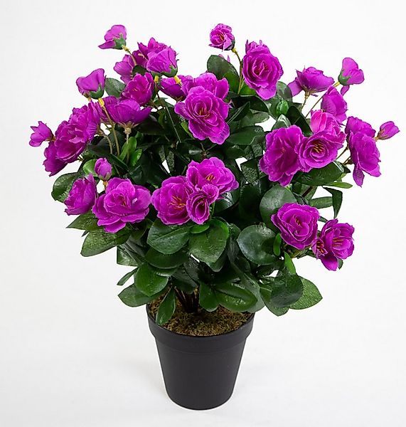 Kunstblume Azalee 40cm im Topf ZF Kunstpflanzen Kunstblumen künstliche Pfla günstig online kaufen