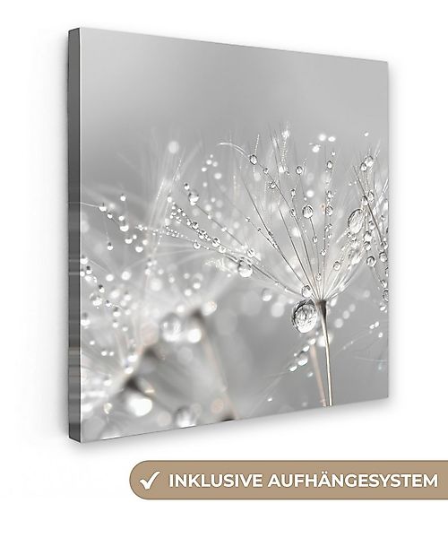 OneMillionCanvasses® Leinwandbild Löwenzahn - Wassertropfen - Stilleben - M günstig online kaufen