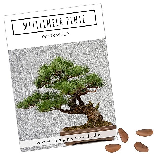 HappySeed Blumensamen Außergewöhnliche Bonsai Samen mit günstig online kaufen