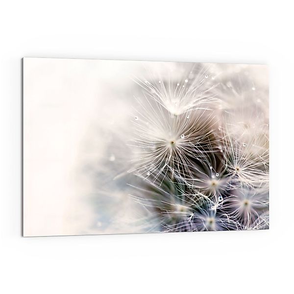 DEQORI Küchenrückwand 'Detailaufnahme Pusteblume', Glas Spritzschutz günstig online kaufen