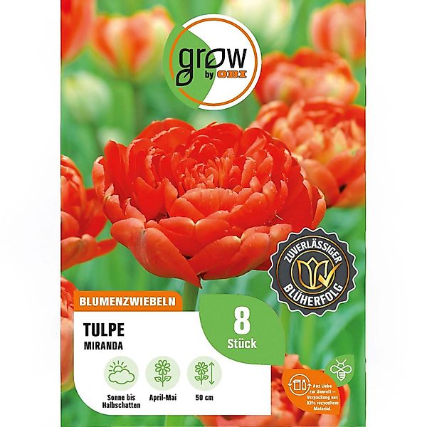 GROW by OBI Tulpe Miranda Rot 8 Stück Tulipa double late Miranda günstig online kaufen