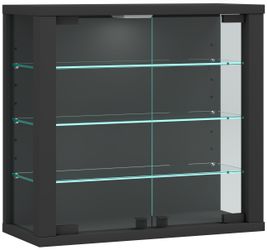 VCM Hängevitrine Wandvitrine Hängevitrine Glasvitrine Vitrosa günstig online kaufen