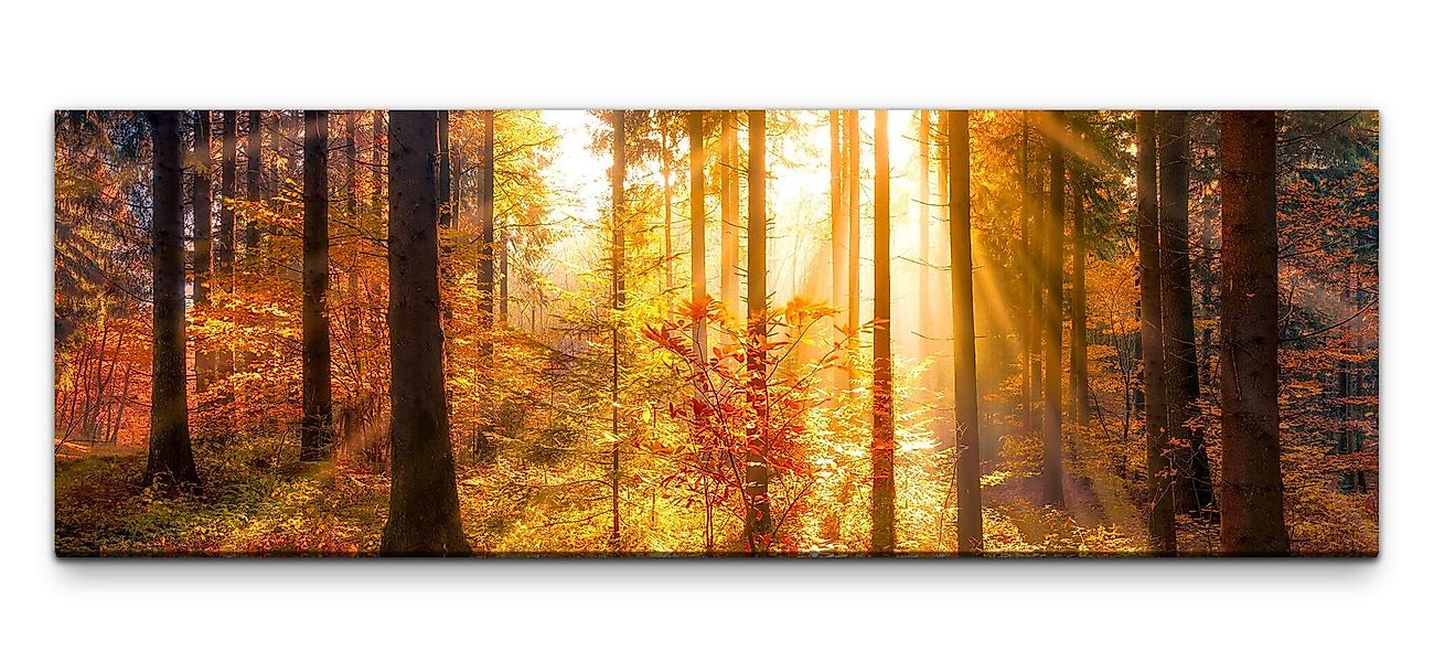 möbel-direkt.de Leinwandbild Bilder XXL Herbstwald mit günstig online kaufen