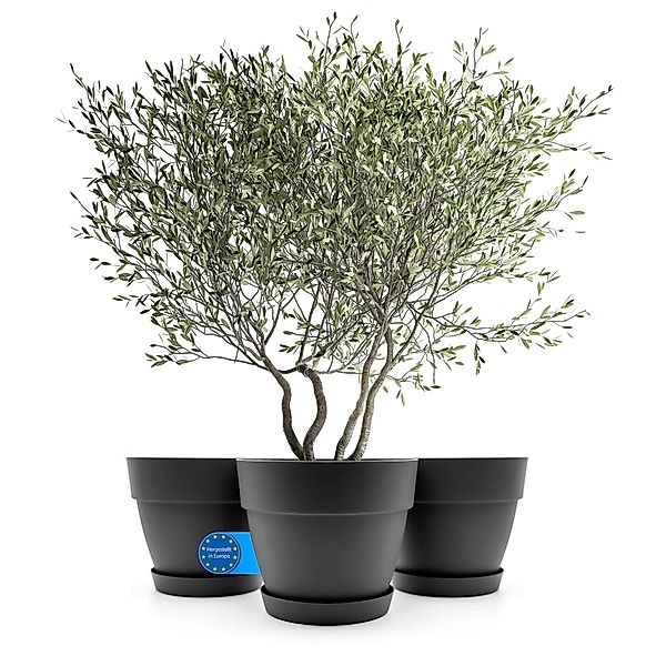 BigDean Blumentopf 3 Stück Blumentopf mit günstig online kaufen