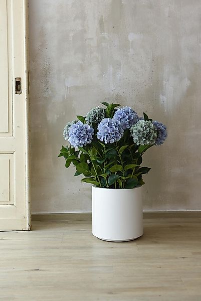 Kunstpflanze Kunststoff HYDRANGEA Rund - Blau, günstig online kaufen