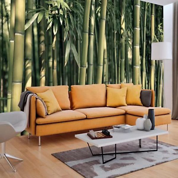 artgeist Fototapete Bamboo Exotic grün Gr. 100 x 70 günstig online kaufen