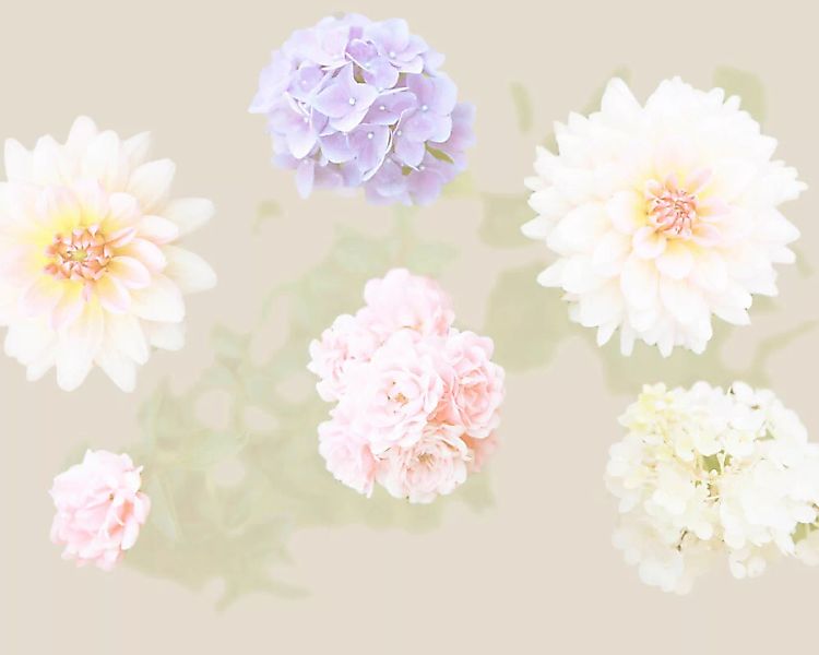 Fototapete "Blumen in Rosa und Lila" 4,00x2,50 m / Glattvlies Perlmutt günstig online kaufen