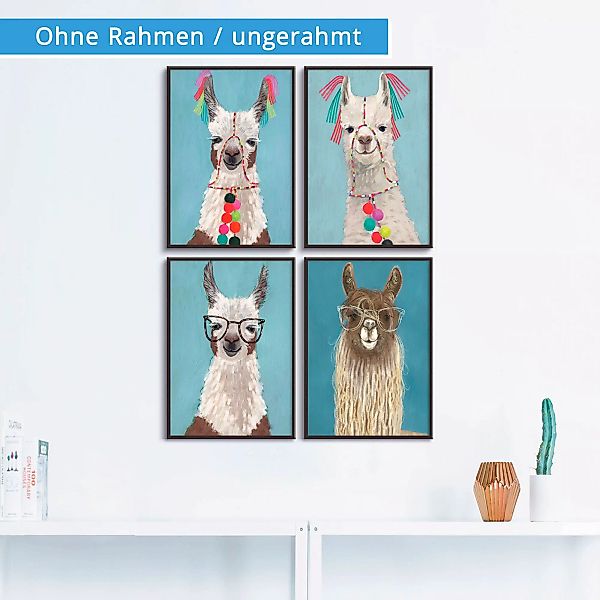 Artland Poster "Geschmückte Lamas", Wildtiere, (4 St.) günstig online kaufen