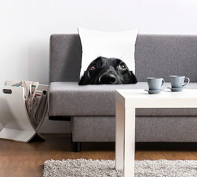 queence Dekokissen »Labby«, Kissenhülle,Weißer Hintergrund,Labrador,Hund,Ti günstig online kaufen