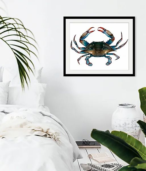 queence Bild »Mr. Krabs«, Meer-Wassertiere-Kunst, (1 St.), HD Premium Poste günstig online kaufen