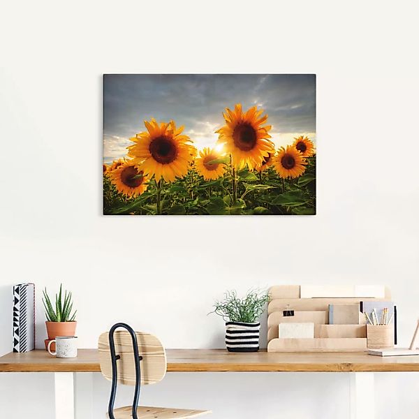 Artland Wandbild »Sonnenblumen II«, Blumen, (1 St.), als Leinwandbild, Post günstig online kaufen