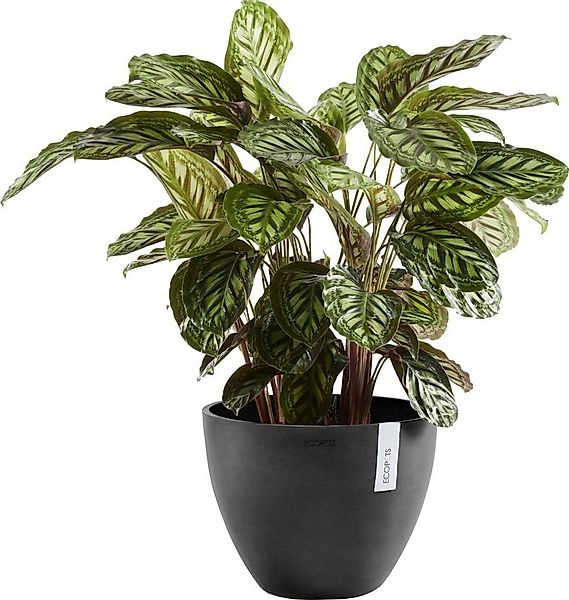 ECOPOTS Blumentopf ANTWERP Dark Grey, BxTxH: 30x30x25,5 cm günstig online kaufen