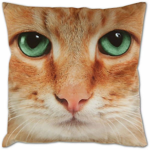 Bestlivings Kissenhülle Fotodruck 40 x 40 cm Katze Beige Ohne Füllung günstig online kaufen