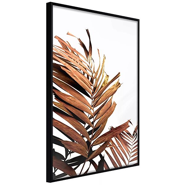 Poster - Copper Palm günstig online kaufen