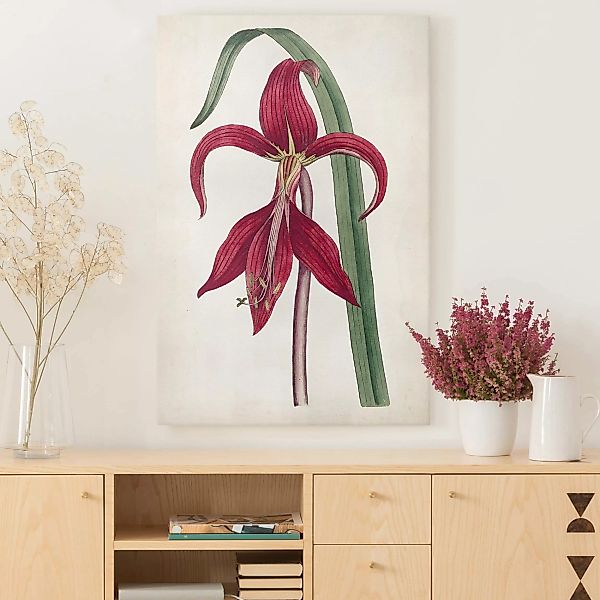 Leinwandbild Blumen - Hochformat Gartenschönheit I günstig online kaufen