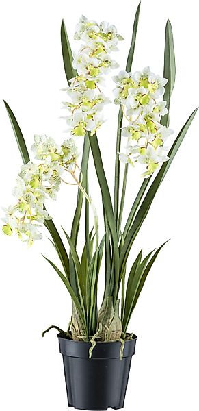 Kunstorchidee Orchidee Cymbidie orientalis, Creativ green, günstig online kaufen