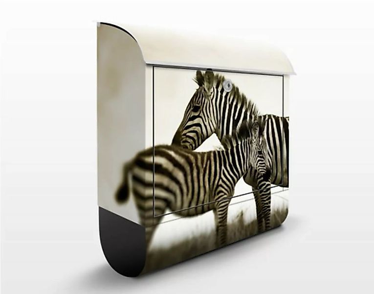 Briefkasten Zebrapaar günstig online kaufen