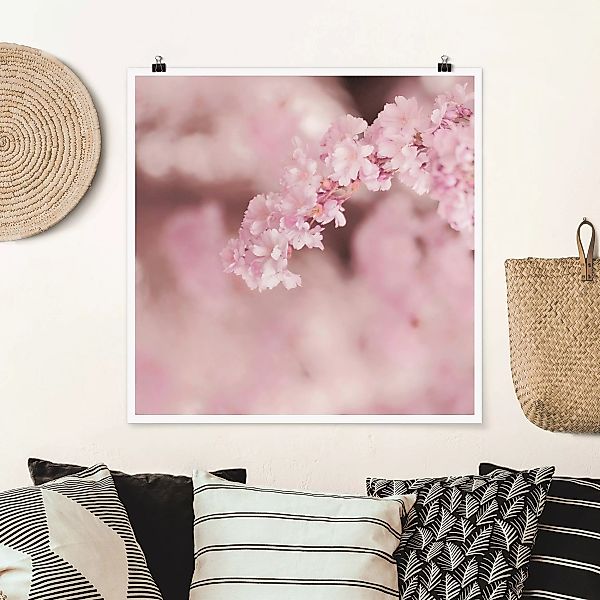 Poster Kirschblüte im Violetten Licht günstig online kaufen