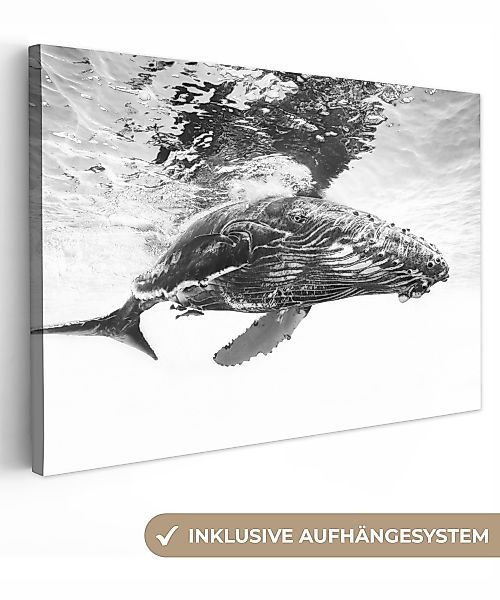 OneMillionCanvasses® Leinwandbild Wal - Wasser - günstig online kaufen