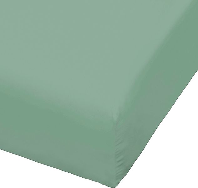 BIERBAUM Spannbettlaken "Jersey" 95 % Baumwolle und 5 % Elasthan für optima günstig online kaufen