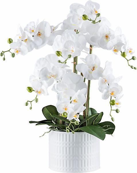 Creativ green Kunstorchidee "Orchidee Phalaenopsis", mit real-touch-Blüten günstig online kaufen