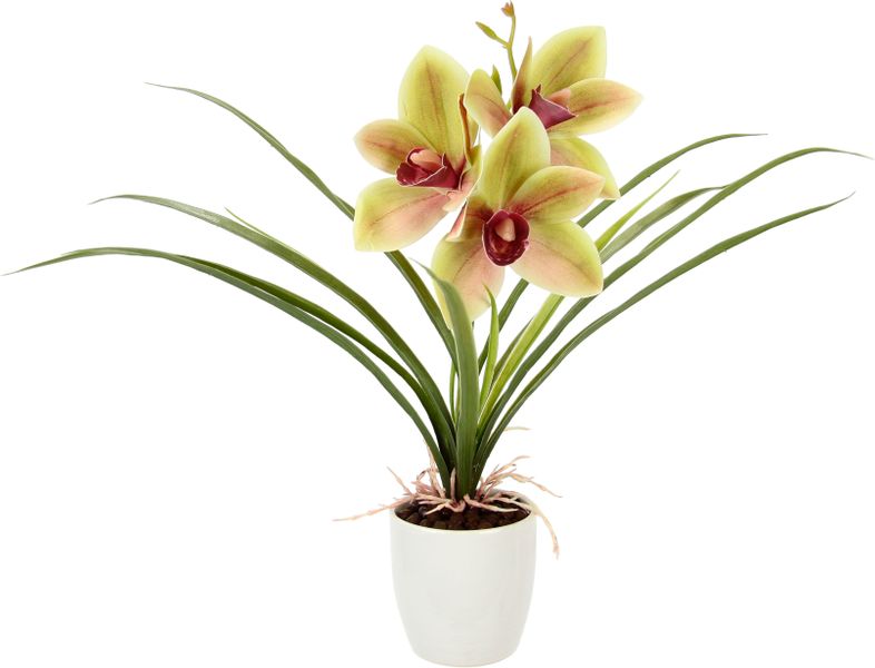 Kunstblume Orchidee, I.GE.A., Höhe 32 cm, günstig online kaufen