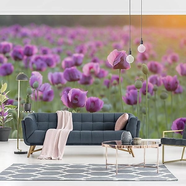 Fototapete Violette Schlafmohn Blumenwiese im Frühling günstig online kaufen