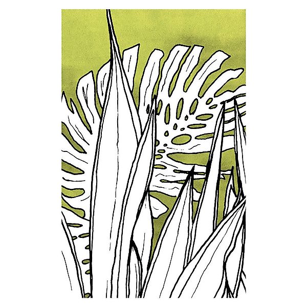 Komar Poster Dried Leaves Pflanzen B/L: ca. 50x70 cm günstig online kaufen