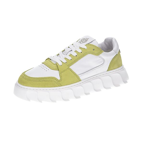 Apple of Eden LONDON Schnürschuh günstig online kaufen