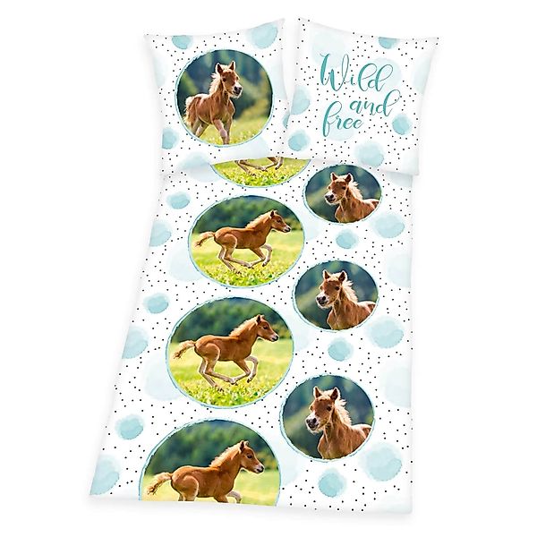 Herding Bettwäsche Herding Pony Fohlen Pferd günstig online kaufen