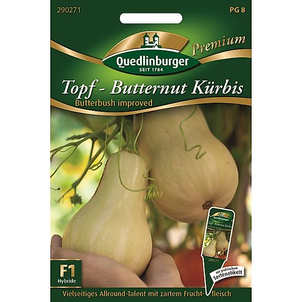 Quedlinburger Topf-Kürbis Butterbush Improved Loses Saatgut günstig online kaufen