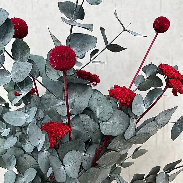 Lykke&You Pop of Color Eukalyptus Red günstig online kaufen