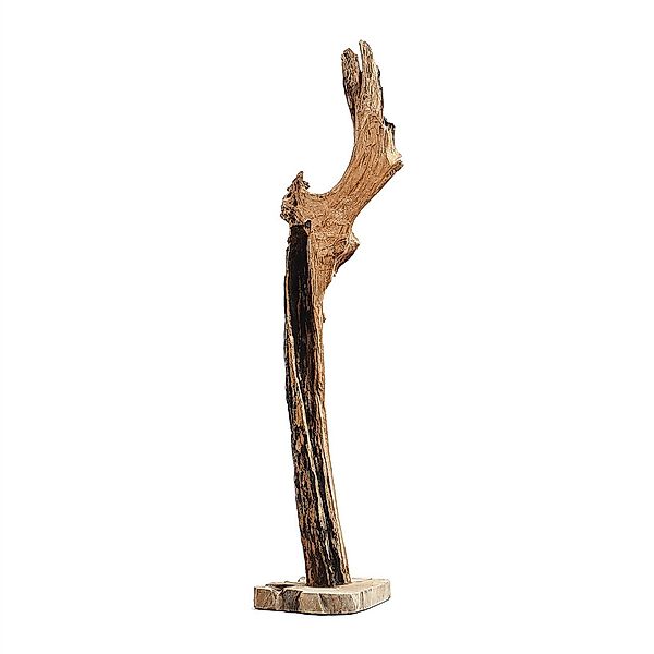DESIGN DELIGHTS Skulptur DEKO SKULPTUR "TREIBGUT", günstig online kaufen