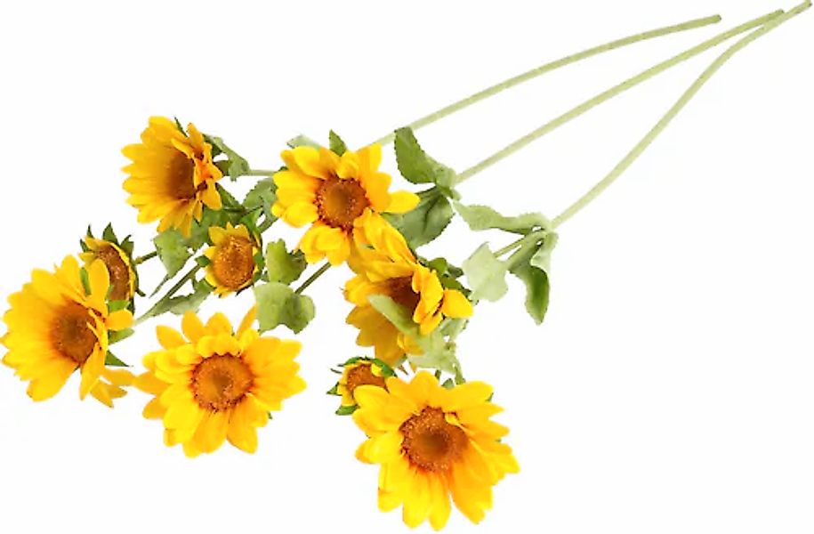Botanic-Haus Kunstblume »Sonnenblume mit 2 Stielen« günstig online kaufen