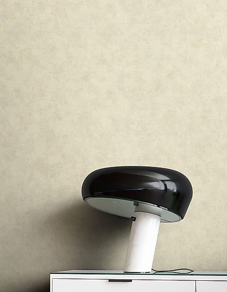 Newroom Vliestapete, Braun Tapete Uni Unifarbe günstig online kaufen