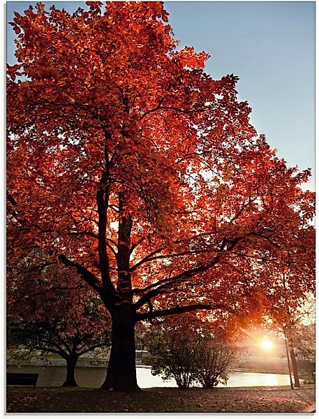 Artland Glasbild »Herbstbaum«, Bäume, (1 St.) günstig online kaufen