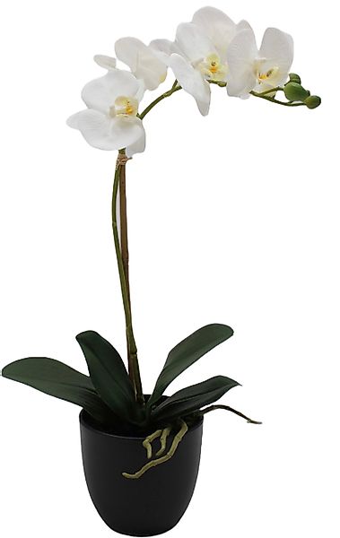 Creativ green Kunstorchidee "Orchidee Phalaenopsis" mit täuschend echten Bl günstig online kaufen