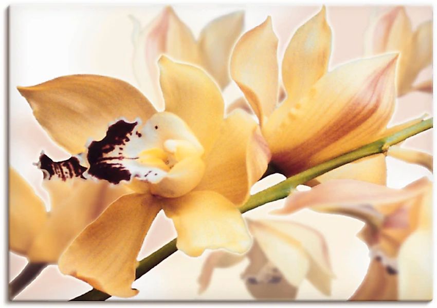 Artland Wandbild »Gelbe Orchidee« Blumenbilder 1 Stk. tlg. als Alubild, Out günstig online kaufen