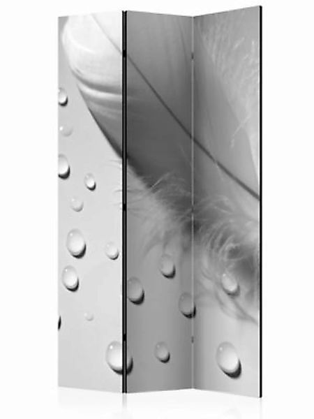 artgeist Paravent White Feather [Room Dividers] grau/weiß Gr. 135 x 172 günstig online kaufen