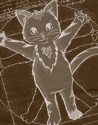 style3 T-Shirt Vitruvianische Katze kätzchen kitten günstig online kaufen
